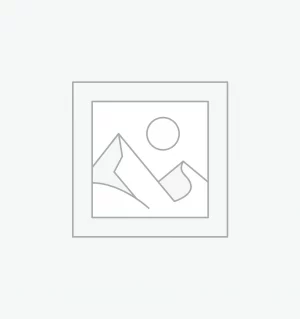 Zástupný symbol